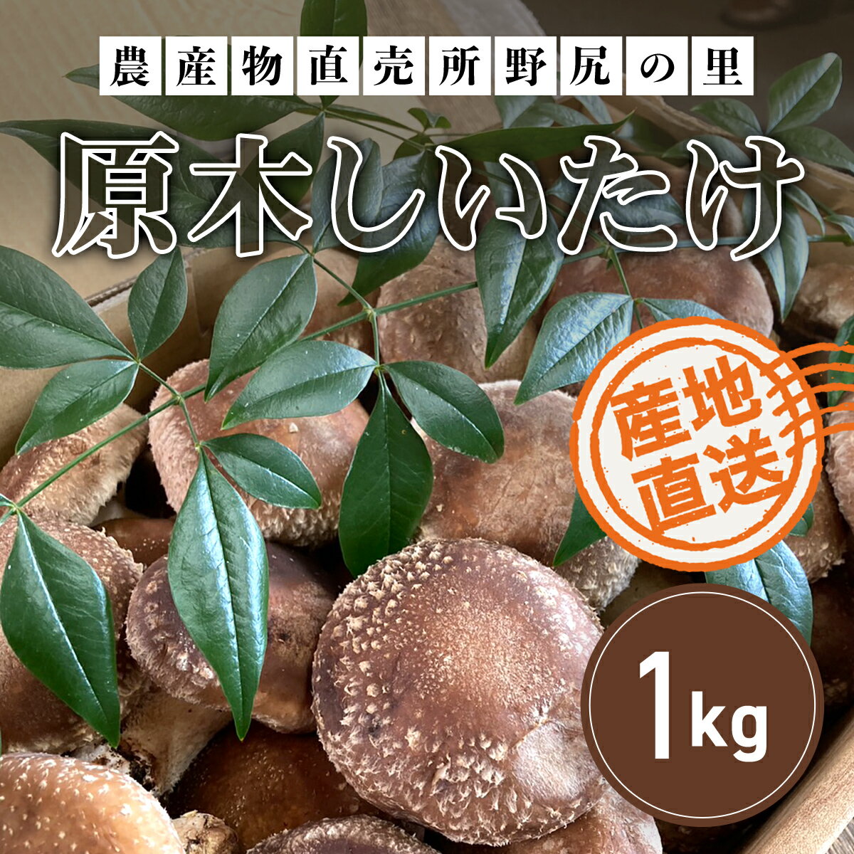 【ふるさと納税】【先行予約】原木しいたけ【1kg】※数量限定 ANAR005 / しいたけ シイタケ 椎茸 野菜 きのこ キノコ 茸 数量限定 冬の味覚 国産 群馬県産 先行予約