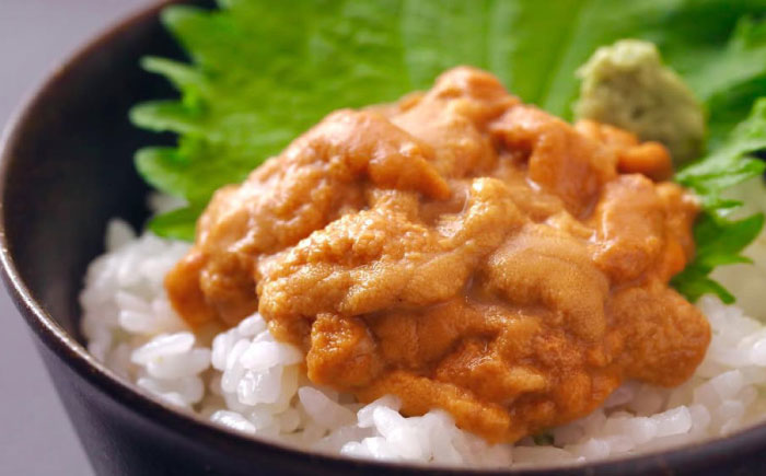 生ウニ 60g 《壱岐市》【丸昇水産】 うに 雲丹 ウニ 希少 産地直送 ミョウバン不使用 無添加 [JFZ005]