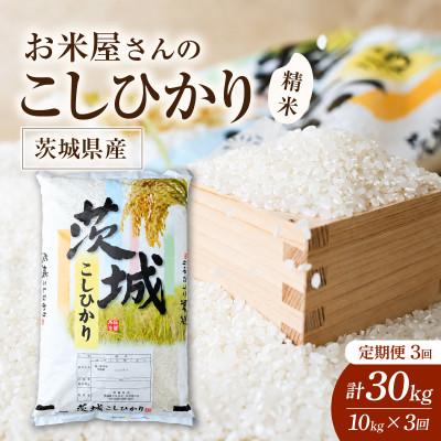 ふるさと納税 かすみがうら市 【毎月定期便】お米屋さんのコシヒカリ 精米 10kg(5kg×2)全3回
