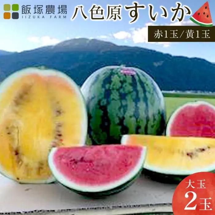 【夏季限定】飯塚農場産の八色原すいか　大玉2玉（赤1玉・黄1玉）セット【2026年7月下旬より順次発送予定】