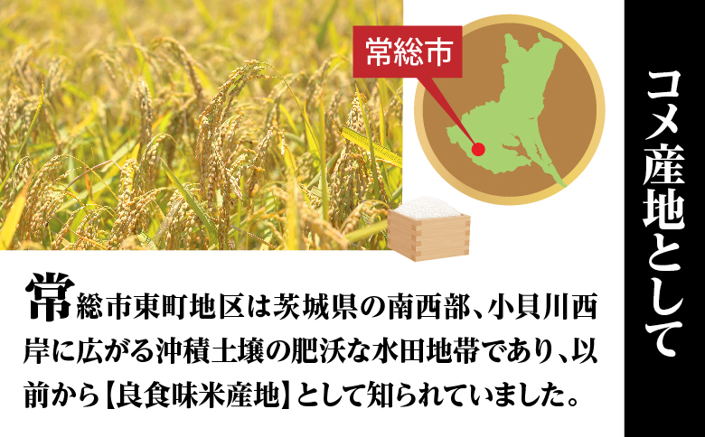 定期便3ヶ月お届け 令和六年産特別栽培米 コシヒカリ 5kg