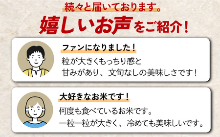 〈受付一時停止中〉【数量限定】【6回定期便】【令和5年産】さがびより 計60kg（5kg×2袋×6回）吉野ヶ里町/増田米穀 [FBM034]