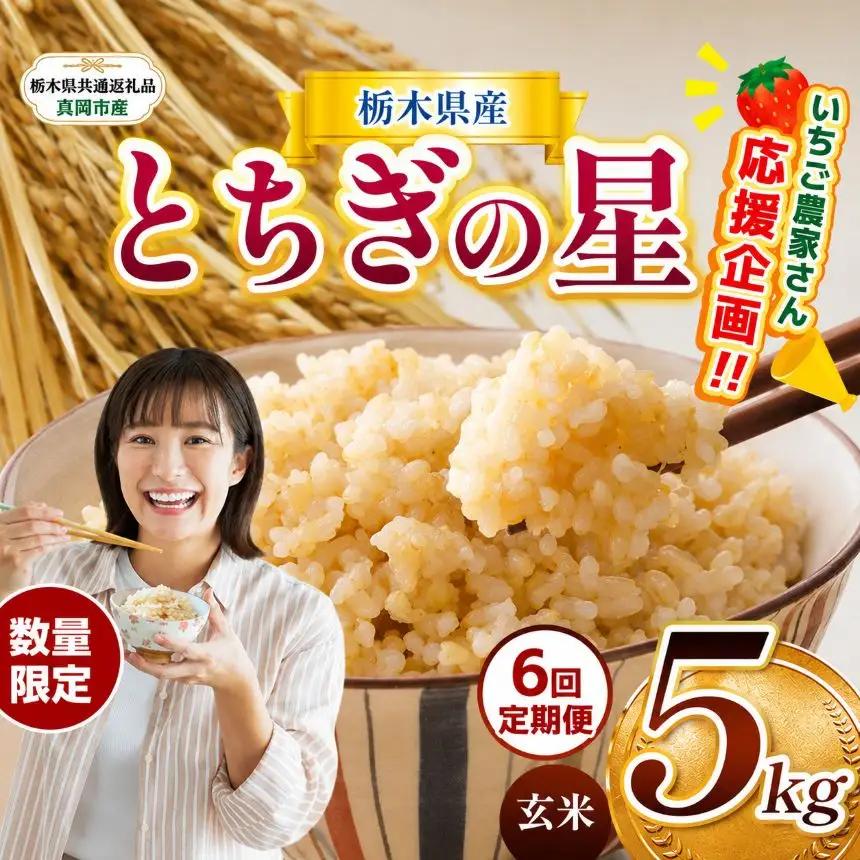 【定期６回】先行予約【令和8年度産】栃木県産とちぎの星 5kg | 【栃木県共通返礼品】 