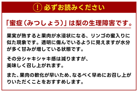 【先行予約】【数量限定】仁平果樹園の梨 「にっこり」5kg (5個～12個) (10月中旬より順次配送) | 果物 新鮮 フルーツ ギフト 梨 ナシ 益子町産梨 甘い あまい 糖度11.5以上 糖度保