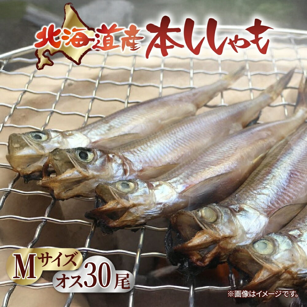 【ふるさと納税】北海道産 阿部水産 ししゃも M 30尾セット 本ししゃも 雄 オス 魚卵 卵 北海道土産 季節限定 ほくほく 子魚 無添加 クール便 冷凍 送料無料 北海道 日高町　北海道産・ししゃも・魚介類・魚貝類・干物