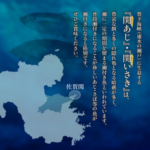 E04022　関あじ・関いさき（鮮魚）セット（各1尾）