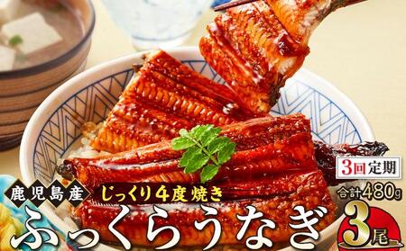 【3回定期】うなぎ 蒲焼 160g×3尾【鹿児島産】地下水で育てた絶品鰻