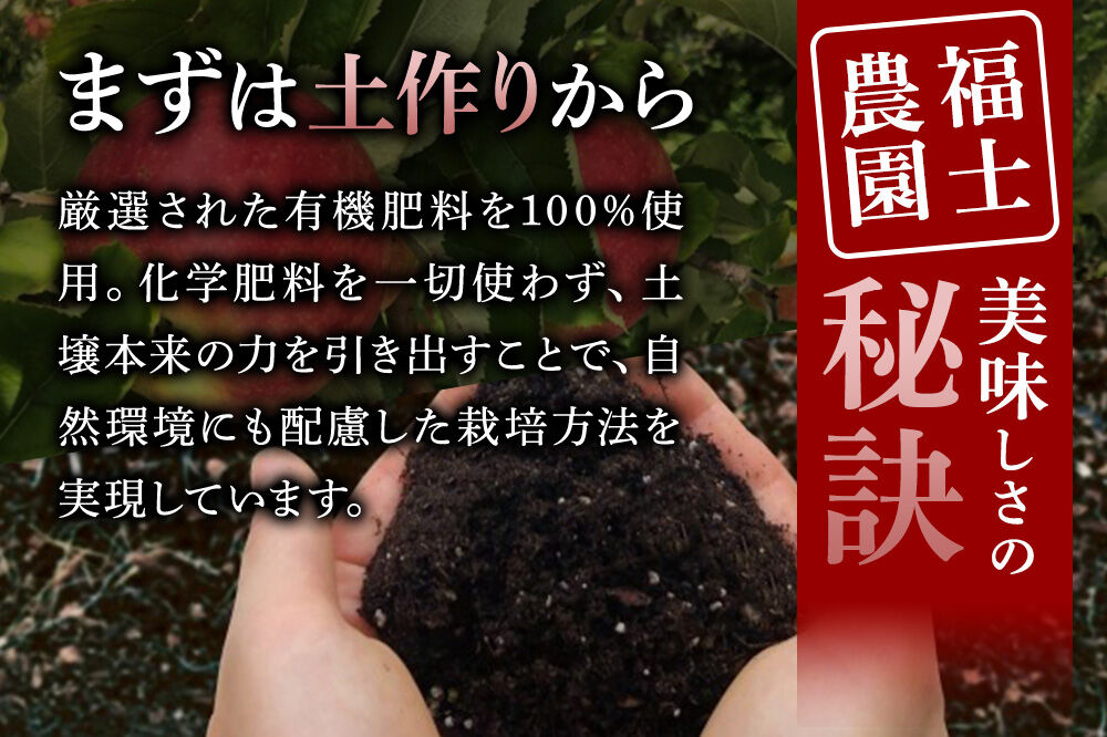 【26年11月〜発送】りんご 王林【家庭用】約10kg 糖度14度以上保証 青森県 弘前市 [青森県産 産地直送 高糖度 甘い アップル おいしい 果実 果物 黄色 美味]