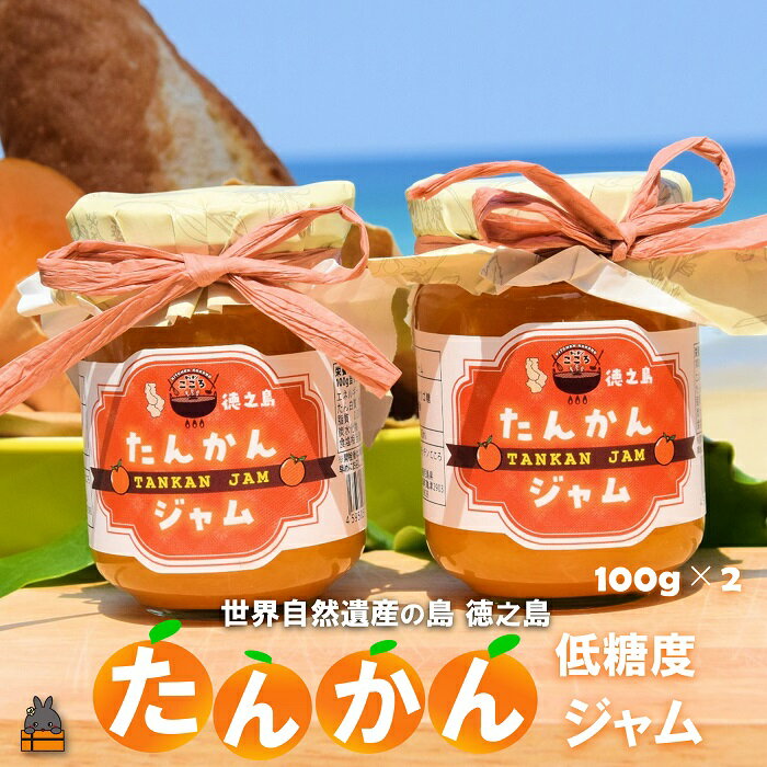 【ふるさと納税】徳之島産完熟たんかん使用！低糖度の徳之島たんかんジャム（100g×2） （ たんかん タンカン 完熟 ジャム パン 朝ごはん 果物 フルーツ 柑橘 徳之島 奄美 鹿児島 美味しい キッチンこころ ）