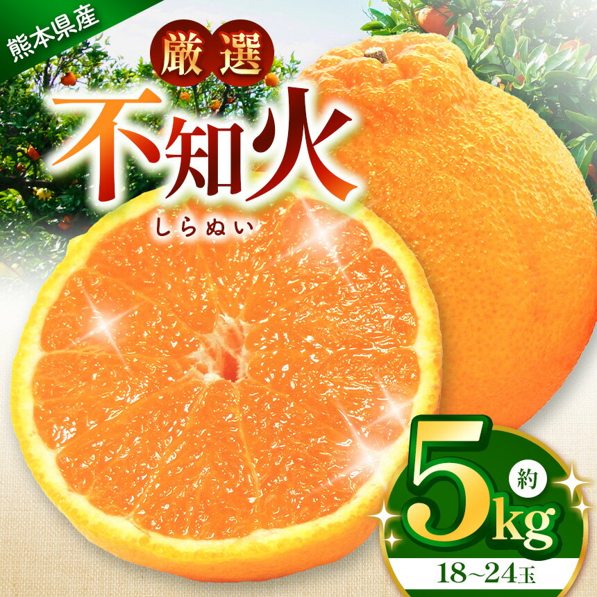 【ふるさと納税】こだわり栽培 厳選 不知火 約 5kg （18〜24玉） iFARM 岩城農園 | みかん ミカン 不知火 しらぬい 柑橘 柑橘類 農家支援 不知火5kg フルーツ 果実 果物 くだもの 人気 熊本県 玉名市