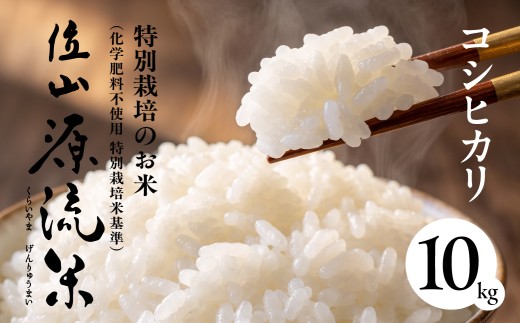 2026年産（令和8年） 位山源流米 コシヒカリ10kg  | 新米 米 ごはん 農家 コシヒカリ おいしい 新米 米 ごはん 農家 コシヒカリ おいしい 新米 米 ごはん 農家 コシヒカリ おいしい 新米 米 ごはん 農家 コシヒカリ おいしい 飛騨高山 ファームやまじん TD002