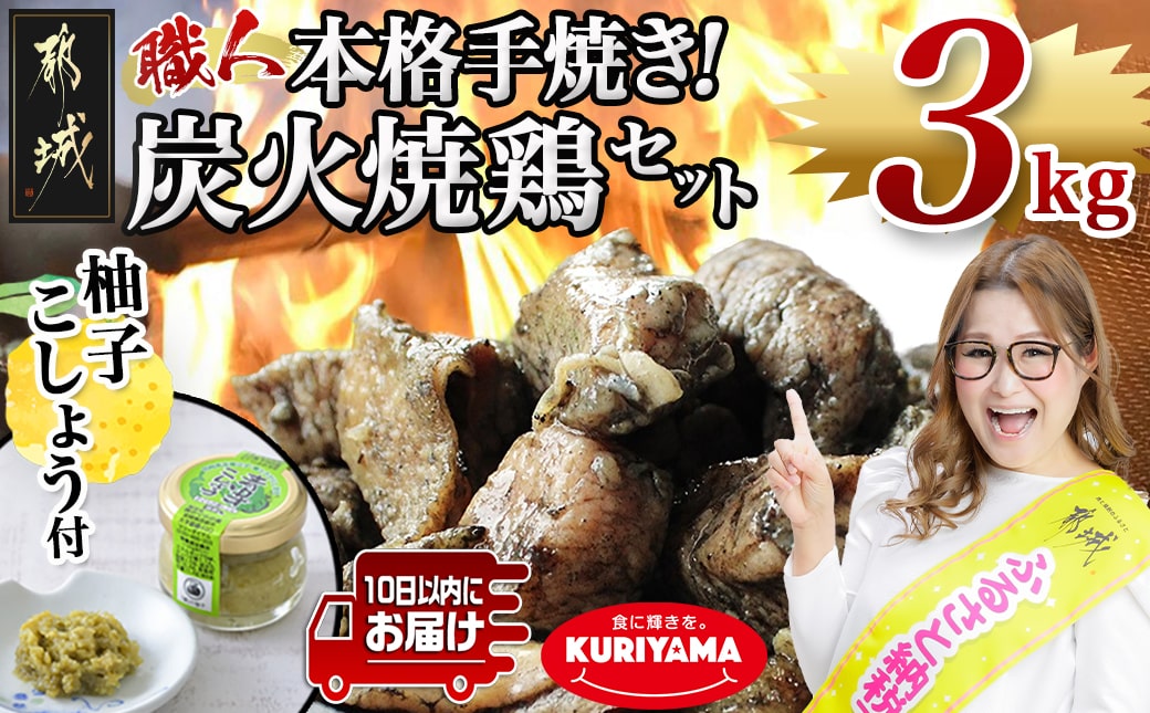 本格手焼き!炭火焼鶏3kg(500g×6P)ゆずこしょう付≪みやこんじょ特急便≫_MJ-14-003-3kg-Q