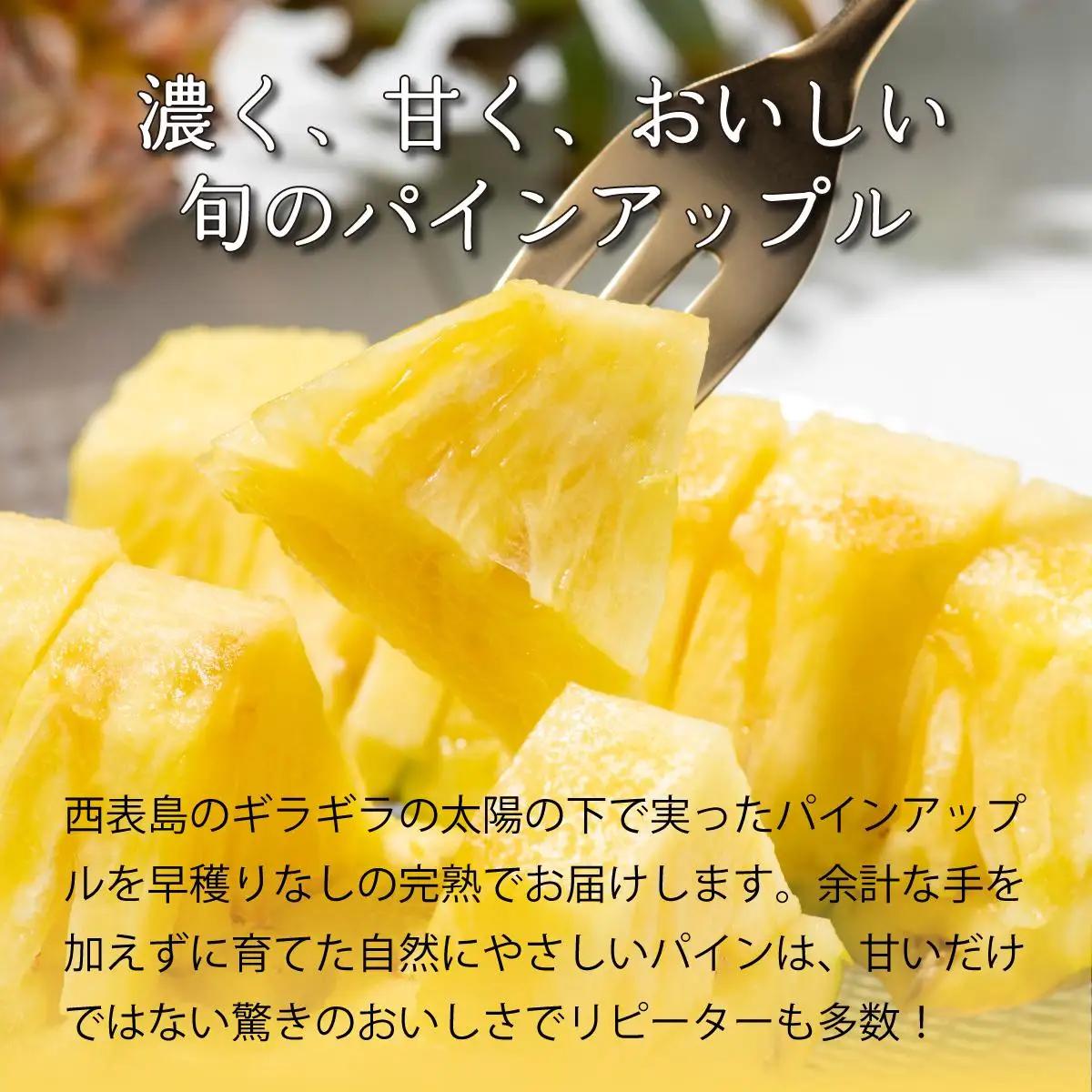 完熟 パインアップル 約6kg