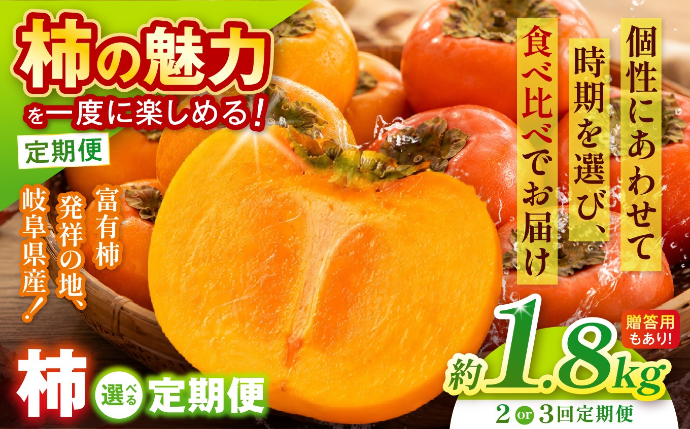 
                  【回数選べる定期便】旬柿 リレー便 家庭用 早秋 富有柿 ( 各7個 / 1.8kg )|【人気の銘柿を贅沢に食べ比べ！】 柿 フルーツ 果物 完熟 国産 季節の果物 家庭用 自宅用 加工用 料理用 大容量 岐阜県 本巣郡 北方町
                