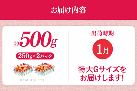 福岡県産 あまおう 500g （250g×2パック） いちご 1月中発送 いちご 苺 フルーツ 果物 くだもの 大粒Gサイズ グランデ 農家直送 大粒 不揃い 福岡県 福岡 九州 グルメ お取り寄せ