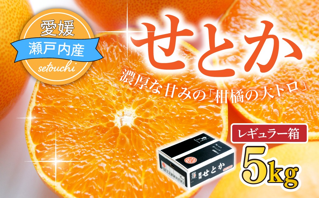 
                  ＜先行受付＞せとか レギュラー箱 5kg 柑橘 愛媛 みかん ミカン 蜜柑 せとか セトカ 果物 フルーツ 国産 愛媛みかん 愛媛ミカン 国産フルーツ 愛媛県 上島町 JAおちいまばり
                