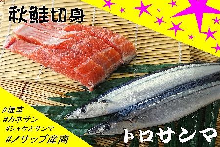 【北海道根室産】生冷凍サンマ5本入×2P・秋鮭切身3切れ×1P A-59002