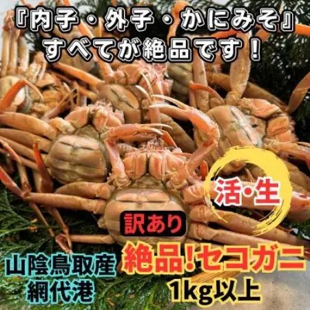 【さかなや新鮮組】鳥取県産 訳あり 活 絶品セコガニ1.0kgセット ご家庭用 漁港直送【配送不可地域：離島・北海道・沖縄県・東北・信越、北陸】【1759642】