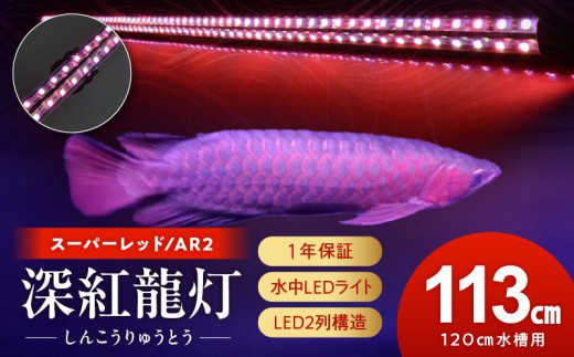 紅龍オーナー必見!一瞬でアロワナを美しく魅せる水中LEDライト|AR2-120-EX［172C20］紅龍 専用 スーパーレッド 赤 照射 水中 アロワナ 水槽ライト テンニングライト LED ライト 照明 水中照明 光 綺麗 強化ガラス 耐久性 吸盤 1年保証 簡単 設置 でんらい インテリア 雑貨 愛知県 小牧市 送料無料