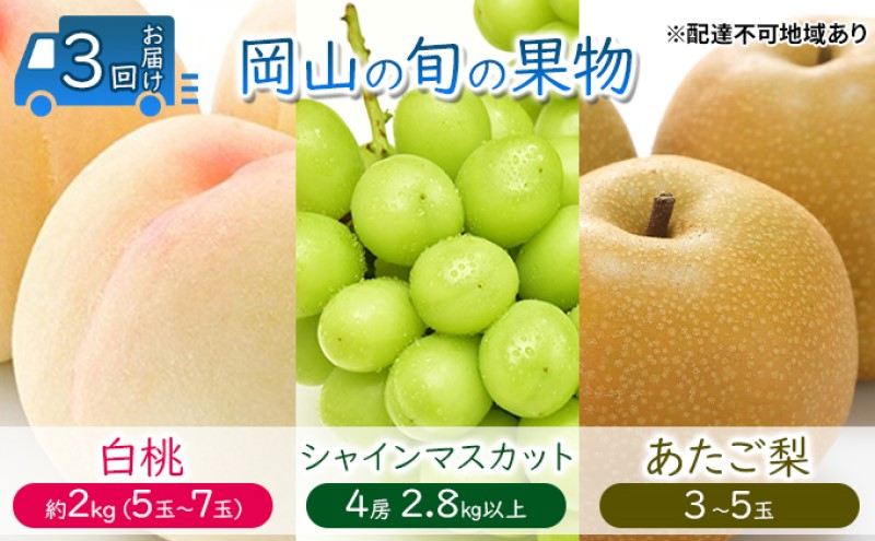 
            [№5615-0637]フルーツ 定期便 【2025年 先行予約】 桃 ぶどう 梨 3回お届け 白桃 約2kg入り(5玉～7玉) シャインマスカット 4房2.8kg以上 あたご梨 (3～5玉)  岡山県産 国産 セット ギフト
          