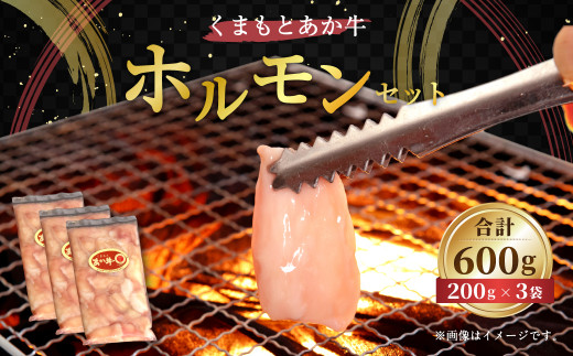 くまもと あか牛 ホルモン 合計600g(200g×3袋)  和牛