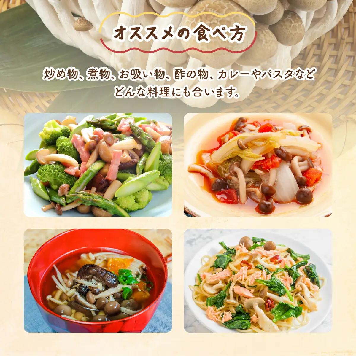 もぎたて新鮮！ぶなしめじ15株セット　AT23