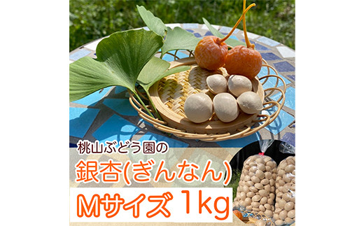 
桃山ぶどう園の『ぎんなん(殻付き)』Mサイズ 約1kg　※北海道・沖縄・離島への配送不可
