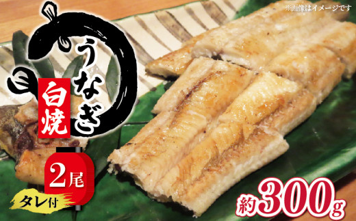 【土用の丑の日】 国産 うなぎ 白焼き 150g × 2尾 約300g タレ付  ( グルメ うなぎ 鰻 新鮮 たれ 土曜 丑の日 真空パック おすすめ 滋賀県 竜王 送料無料 )