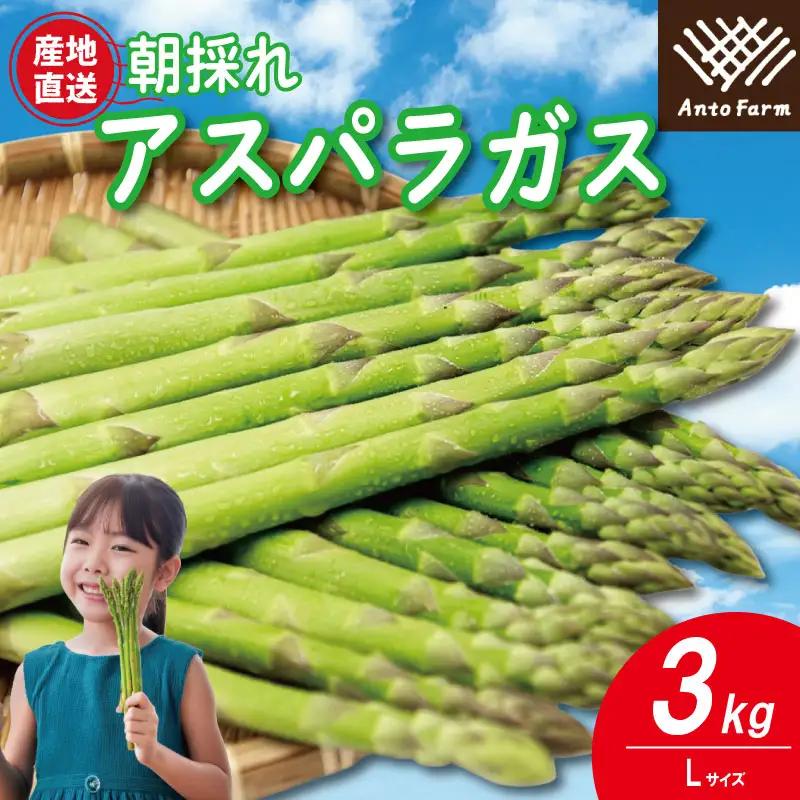 アスパラガス Lサイズ 3kg アスパラガス
