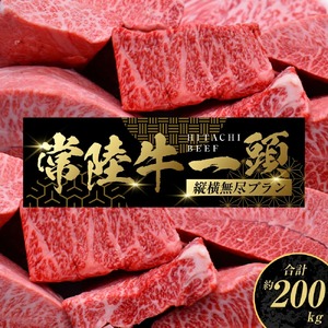 【茨城県共通返礼品】常陸牛 一頭 コンシェルジュ 縦横無尽プラン（チケット） オーダーチケット 1枚（茨城県共通返礼品）