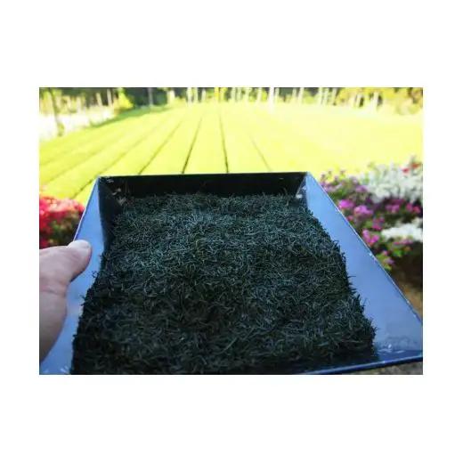 【農林水産大臣賞15回受賞の銘店】世知原茶 ｢芳翠｣｢峰の露｣ 詰め合わせ 500g (100g×5P)【前田製茶】蒸し製玉緑茶 茶葉 日本茶 緑茶