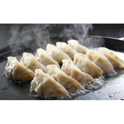 ふるさと納税 三原市 paoの無添加餃子「カレーぎょうざ」[058-006] |  | 02