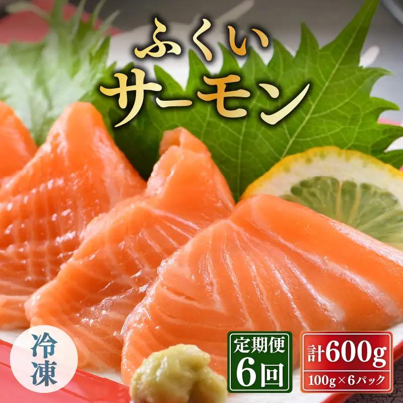 【6ヶ月連続お届け】ふくいサーモン 600g (刺身用) 真空冷凍 100g×6パック×6回【サーモン 鮭 刺身 サケ 小分け 生食 国産】 [K-6201]