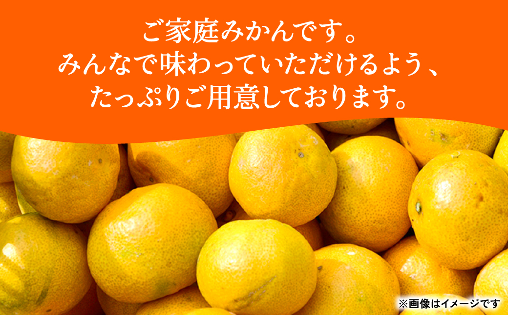 【訳あり】熊本県産 みかん サイズミックス 約2kg