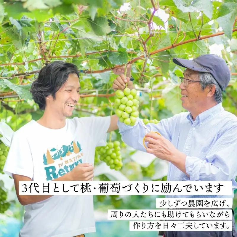【2026年発送★先行予約】さわやかに滴るシャインマスカット 約1.2kg以上 065-023-26y