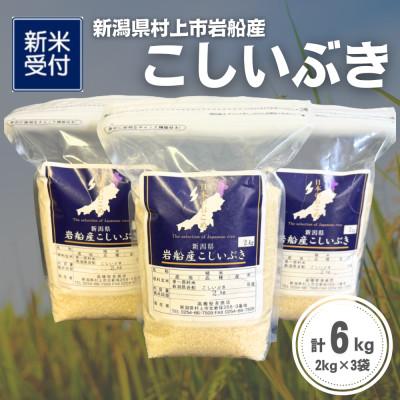 ふるさと納税 村上市 【新米受付・令和8年産米】新潟県村上市岩船産 こしいぶき6kg(2kg×3袋)1099001N