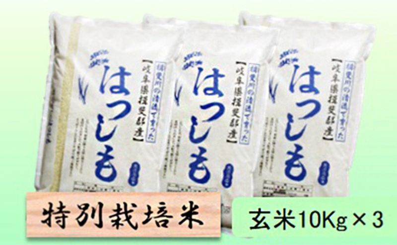 【令和7年産】特別栽培米 30kg【玄米】（ハツシモ）
