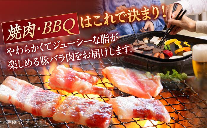 肥前さくらポーク バラ肉 焼肉用 計1.2kg【一ノ瀬畜産】 [NAC502]
