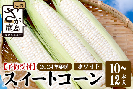 予約受付【限定30セット】ホワイトコーン 10～12本入 とうもろこし トウモロコシ 野菜 B-733 佐賀 鹿島 スイートコーン