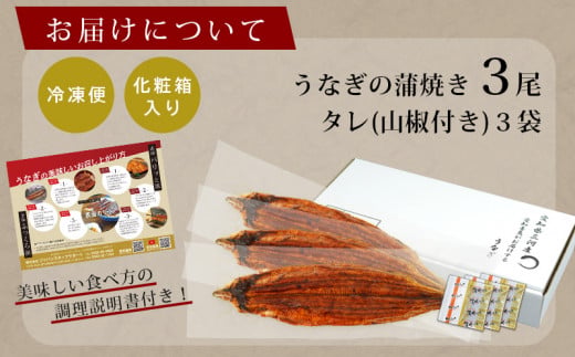 三河産うなぎ 蒲焼冷凍＜超特大＞3尾（合計580ｇ～600ｇ）「生産者愛知養魚」がお届け うなぎ 蒲焼き 鰻 ウナギ 国産うなぎ 愛知県 西尾市 大きいうなぎ 丑の日 土用の丑の日 A091-26