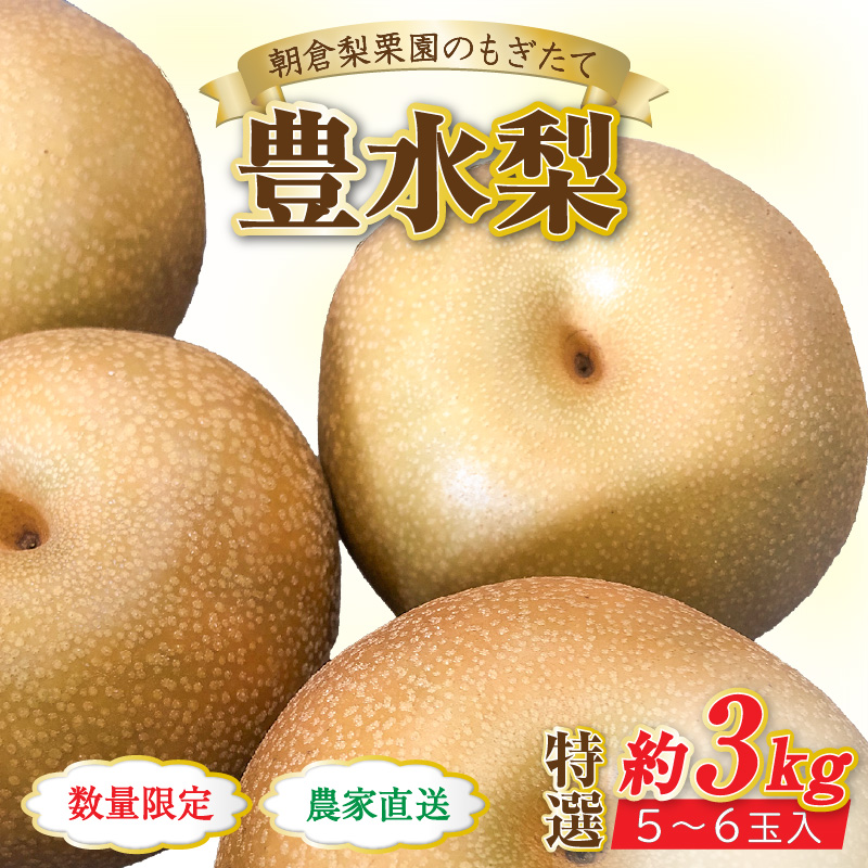 【先行予約】《数量限定》豊水梨 特選 5～6玉入 約3kg / もぎたて 新鮮 期間限定 果物 フルーツ 農家直送 お取り寄せ 豊水 梨 なし 福井県 あわら市※2024年9月上旬より順次発送 [aw042-a004]