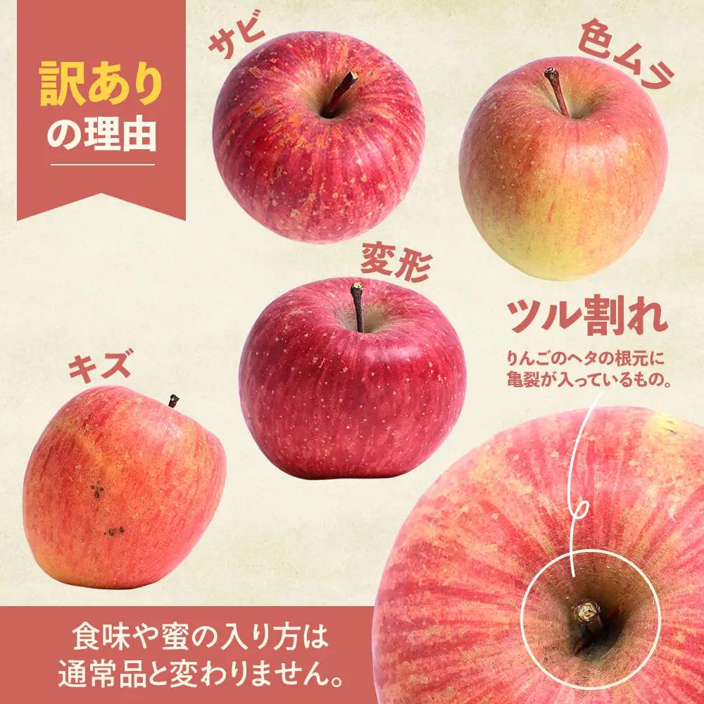 【訳あり】 青森県産りんご サンふじ 約5kg 1月～ りんご