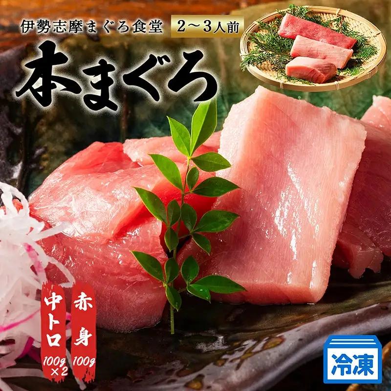 【 冷凍 】本マグロ 赤身 中トロ 計300g 伊勢志摩まぐろ食堂 【 本鮪 】