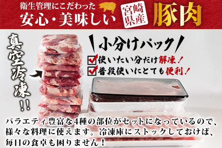 ＜宮崎県産豚肉 バラエティーセット4.4kg＞翌月末迄に順次出荷【 肉 豚肉 国産豚肉 九州産豚肉 宮崎県産豚肉 豚肉 大容量 豚肉 バラエティー豚肉 豚肉 豚ロース 豚モモ 豚ミンチ 豚こま 肉 】