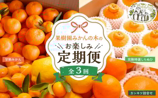 【先行予約】「果樹園みかんの木」のお楽しみ３回定期便コース　みかん ミカン 蜜柑 温州みかん 完熟みかん 柑橘 不知火 しらぬひ でこぽん デコポン 贈答品 定期便 詰め合わせ 佐賀県 太良町 Q45