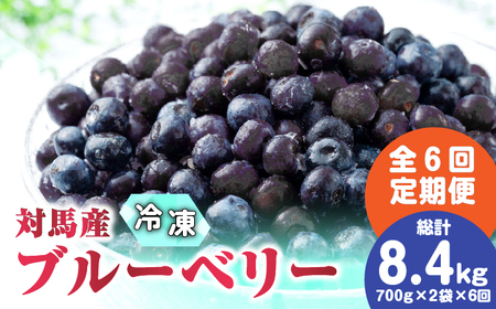 【先行予約】【全6回定期便】 大容量 対馬産 ブルーベリー （ 冷凍 ） 1.2kg【2025年7月上旬以降順次発送】【 さほの里ファーム 】《 対馬市 》 有機 旬 果物 フルーツ [WBG003]