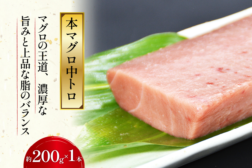 北かつのマグロ 中トロセット [北かつ商事 宮城県 気仙沼市 20563599] 魚 刺身 柵 鮪 まぐろ マグロ 本マグロ 南マグロ 中トロ メカジキ メバチ めばち ビンチョウ 冷凍 魚介類 魚介