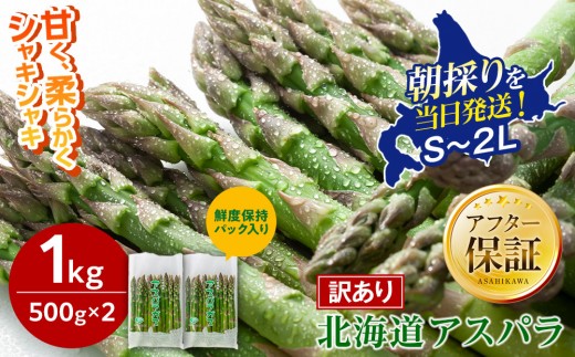 【先行予約】【訳あり】露地物朝採りアスパラ 1kg（500g×2）鮮度保持フィルム入り(2027年5月中旬発送開始予定) 【とれたて 野菜 旬 小分け 保存 産直 産地直送 お取り寄せ 旭川市 北海道 】_06553