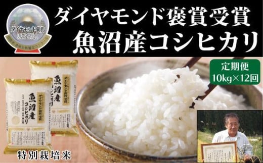 
                  【令和8年産先行予約】【12ヶ月定期便】魚沼産コシヒカリ 10kg(5kg×2袋) 特別栽培米 ダイヤモンド褒賞受賞 |  新潟産コシヒカリ 新潟県産コシヒカリ 魚沼産こしひかり 米 お米 こしひかり 白米 精米 ブランド米 最高級 新潟県 津南町
                