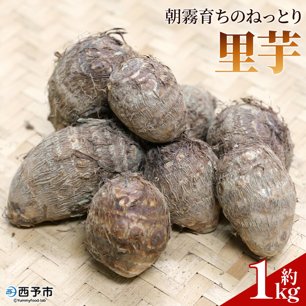 【ふるさと納税】先行予約＜朝霧育ちのねっとり里芋 約1kg＞野菜 やさい さといも サトイモ 国産 愛媛県産 野村町 ねっとり 粘り ほくほく もちもち 新鮮 煮物 家庭用 料理用 冬野菜 期間限定 数量限定 ノムランド 愛媛県 西予市【常温】『2026年12月頃より順次出荷予定』